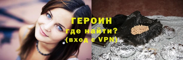 прущие грибы Сясьстрой