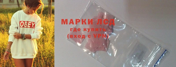 прущие грибы Сясьстрой