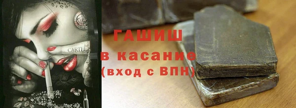 прущие грибы Сясьстрой