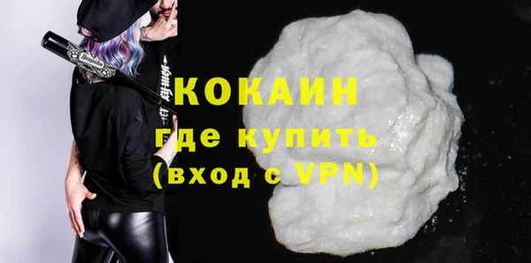 ГАЛЛЮЦИНОГЕННЫЕ ГРИБЫ Богданович