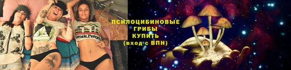 гашиш Тайга