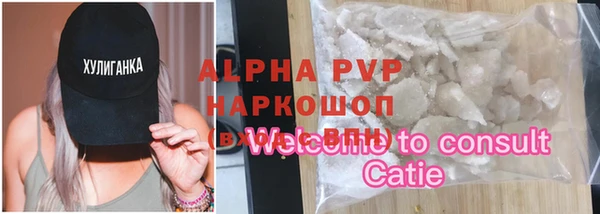 прущие грибы Сясьстрой