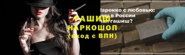 прущие грибы Сясьстрой
