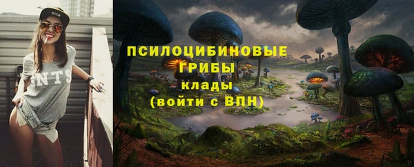 гашиш Тайга