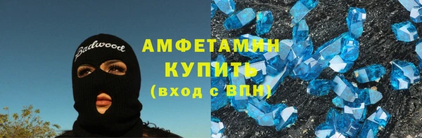 прущие грибы Сясьстрой