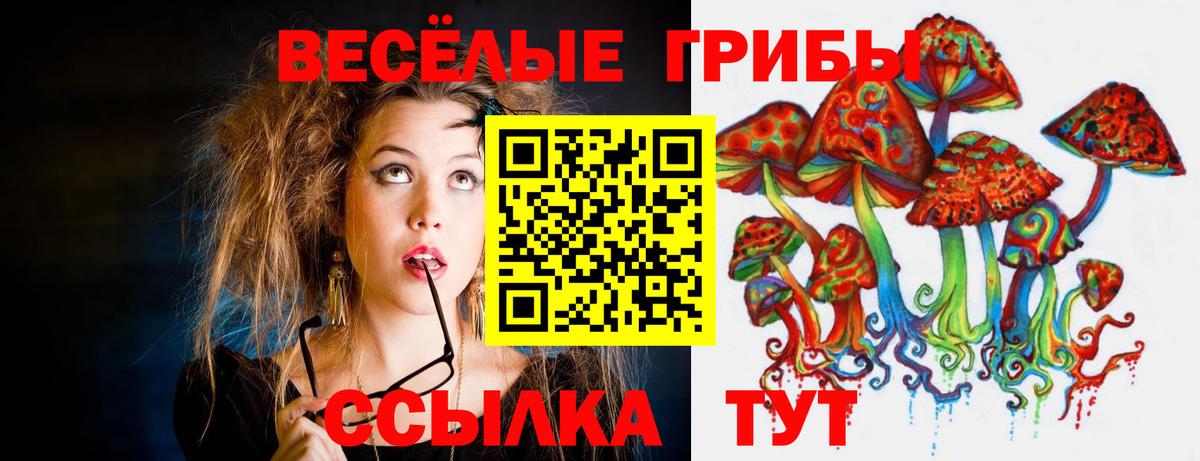 Тулун  Галлюциногенные грибы Cubensis  Вход с VPN 