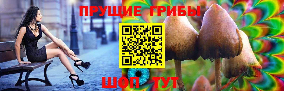 Псилоцибиновые грибы Psilocybine cubensis Тулун