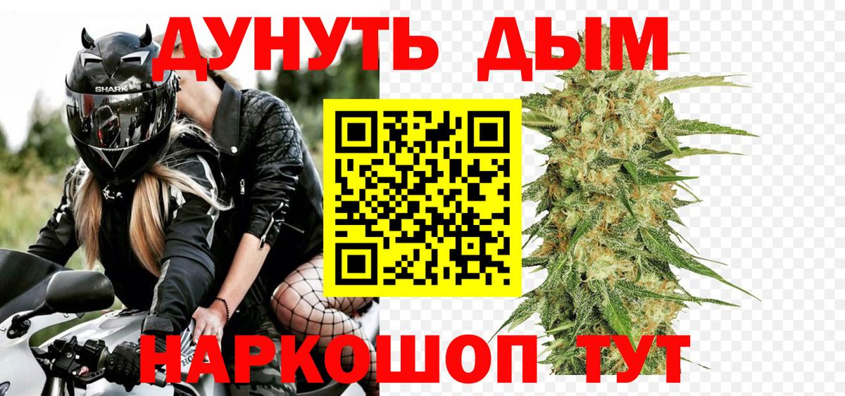 Бошки Шишки семена Тулун