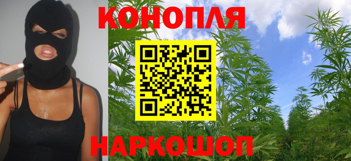 Шишки марихуана планчик  Бошки марихуана Ganja  Тулун  Вход с VPN  Канабис семена 